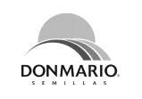 donmario-logo